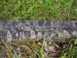 image of grave number 919868